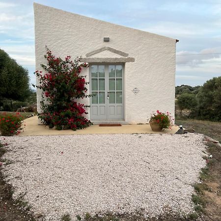 Massidda Country Retreat Βίλα Santa Teresa Gallura Εξωτερικό φωτογραφία