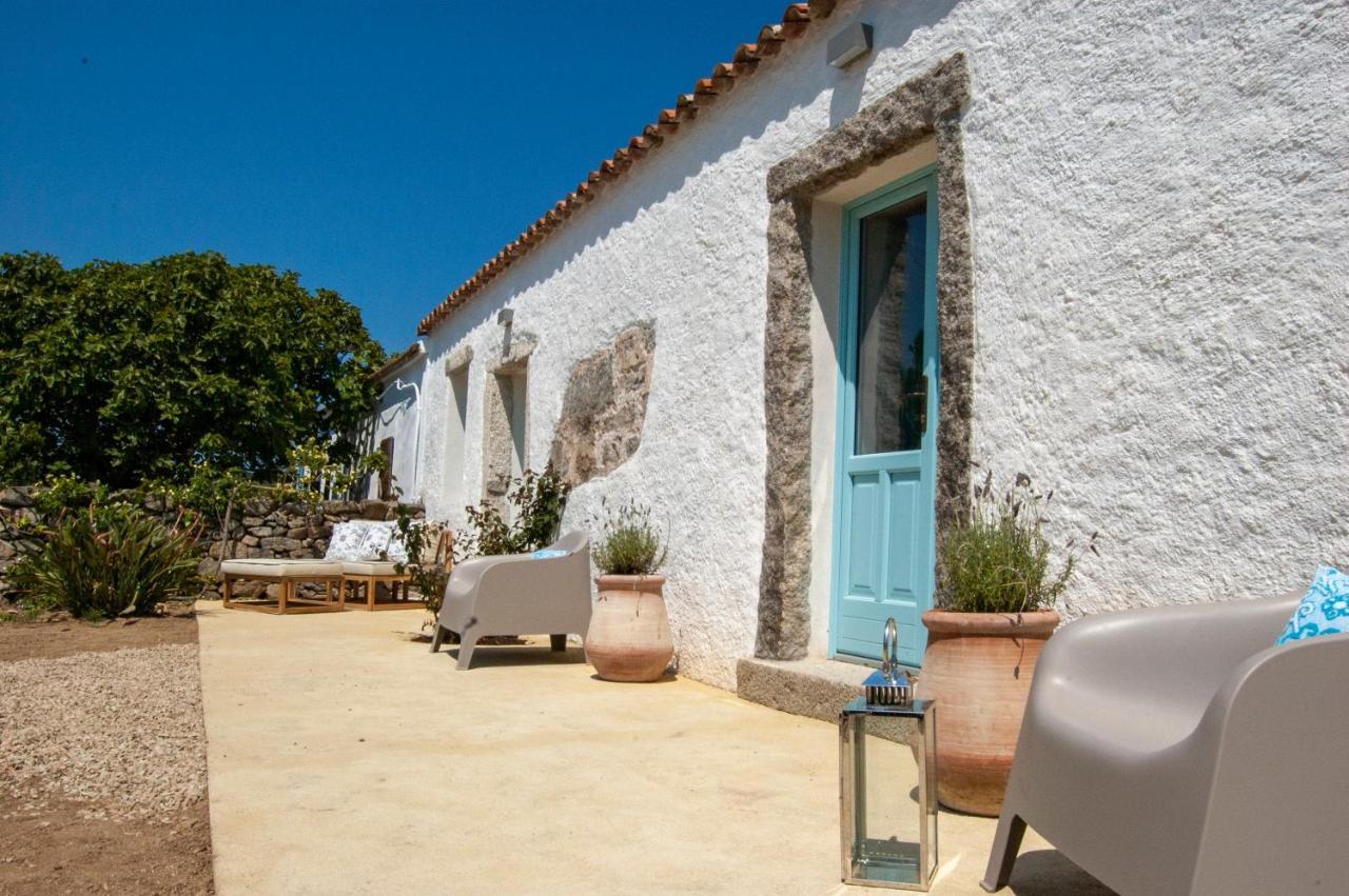 Massidda Country Retreat Βίλα Santa Teresa Gallura Εξωτερικό φωτογραφία