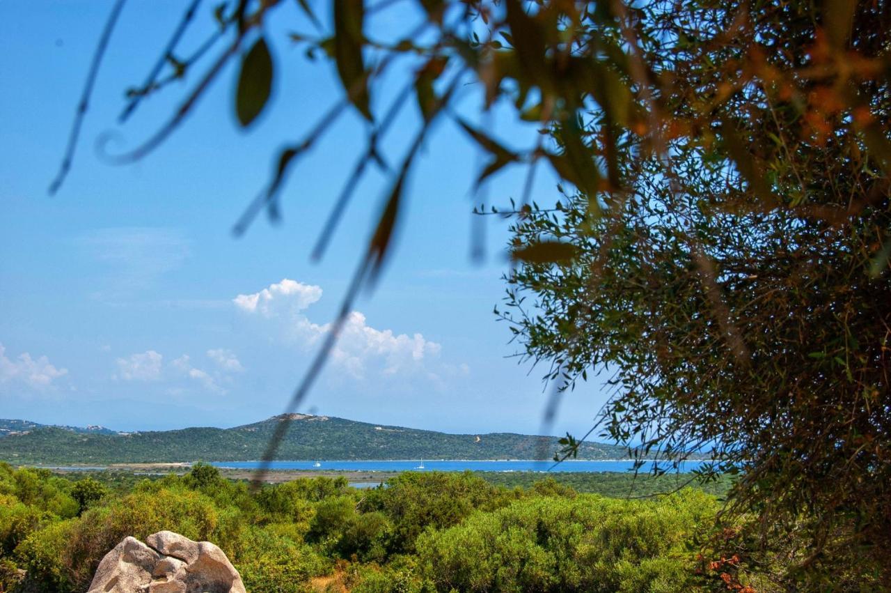 Massidda Country Retreat Βίλα Santa Teresa Gallura Εξωτερικό φωτογραφία