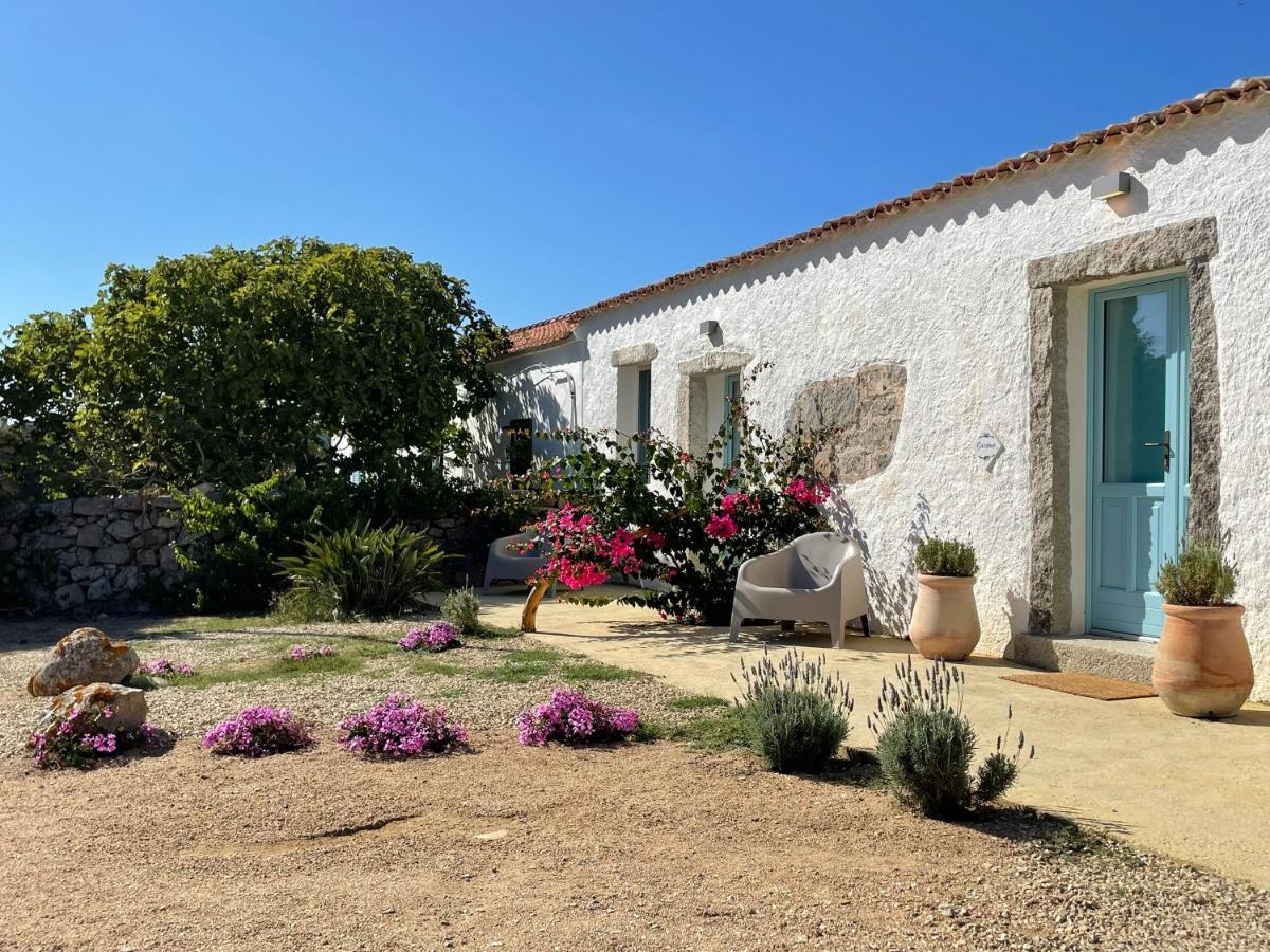Massidda Country Retreat Βίλα Santa Teresa Gallura Εξωτερικό φωτογραφία